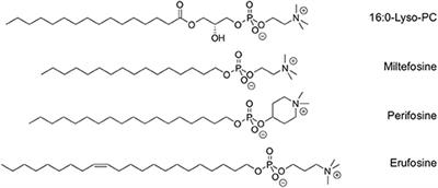 Dual Gene Delivery Reagents From Antiproliferative Alkylphospholipids for Combined Antitumor Therapy